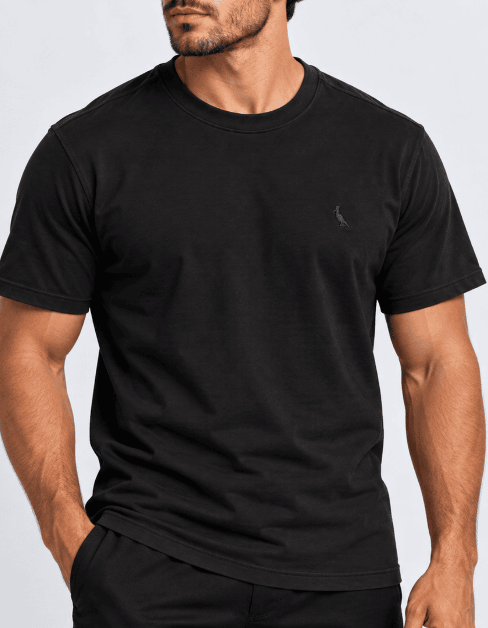 00067.webp Camiseta R S V #d205 - Imagem 1