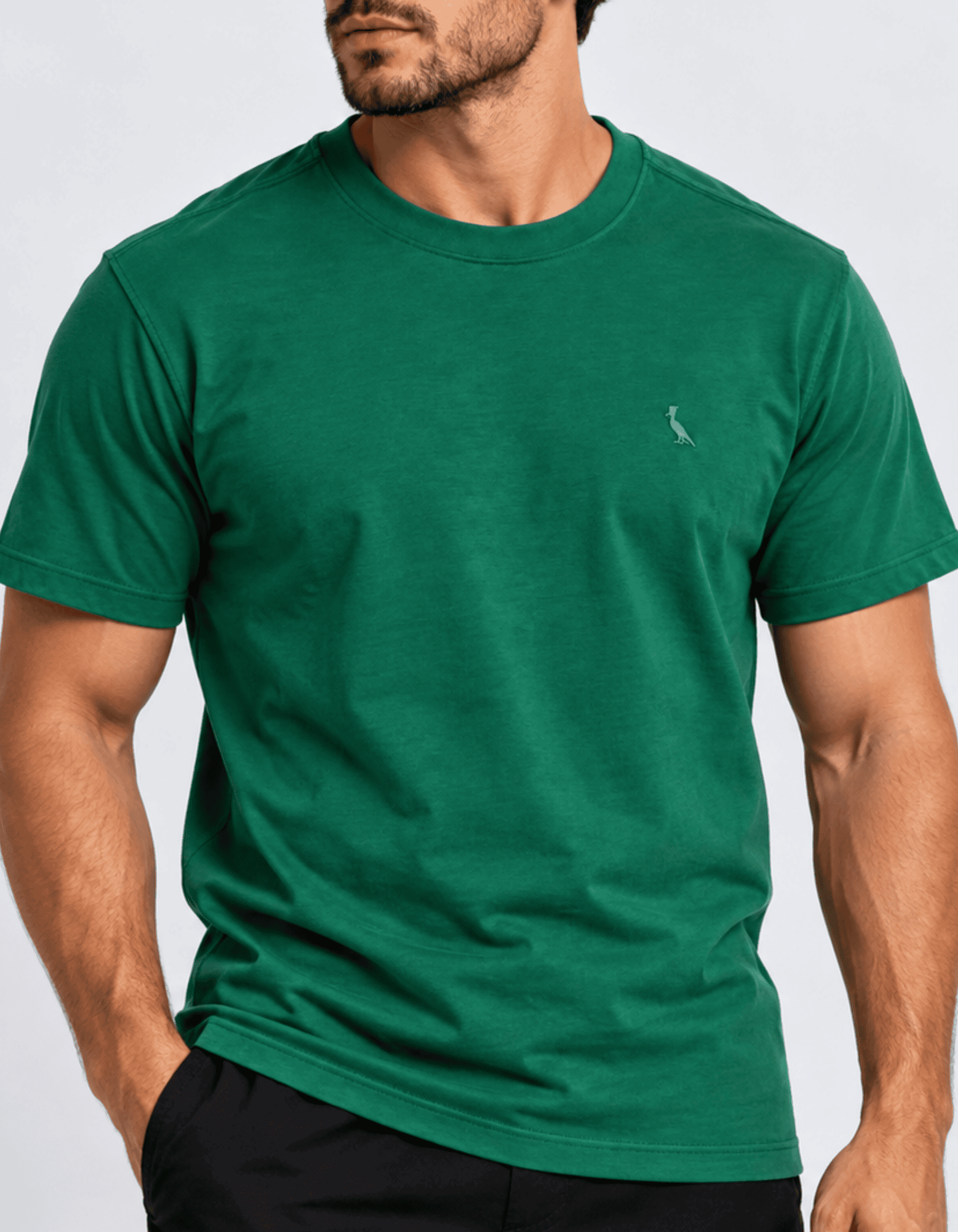 00068.webp Camiseta R S V #d204 - Imagem 1