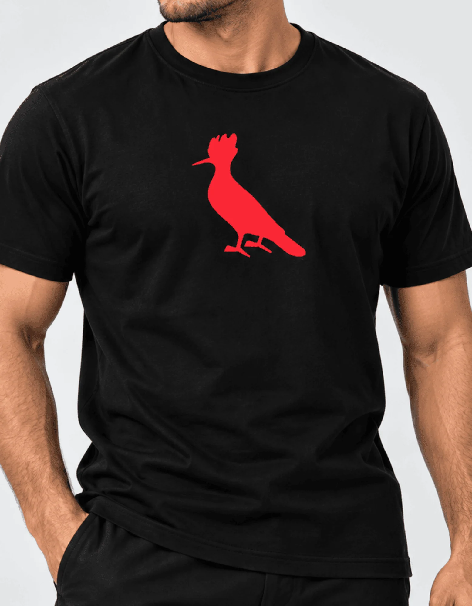 00108.webp Camiseta R S V #d194 - Imagem 1