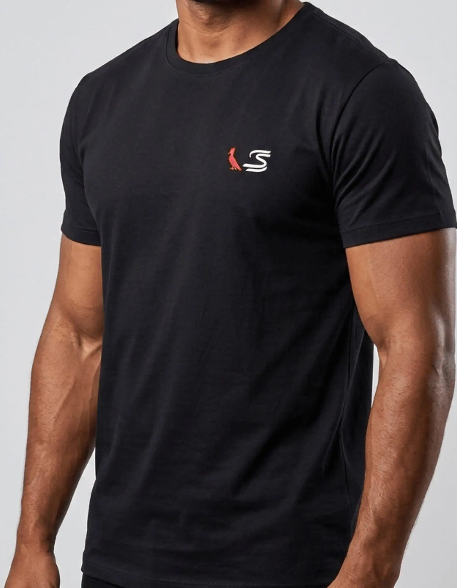 00484.webp Camiseta #c499 - Imagem 1
